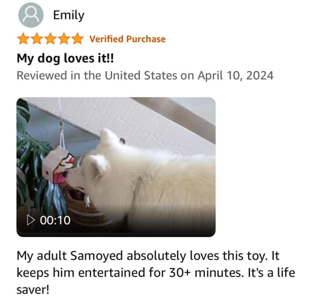An Amazon review from Emily. It keeps her Samoyan busy for over 30 minutes!